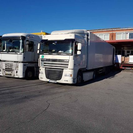 Dzk Logistika